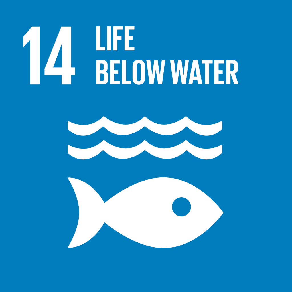 SDG 14: Life Below Water