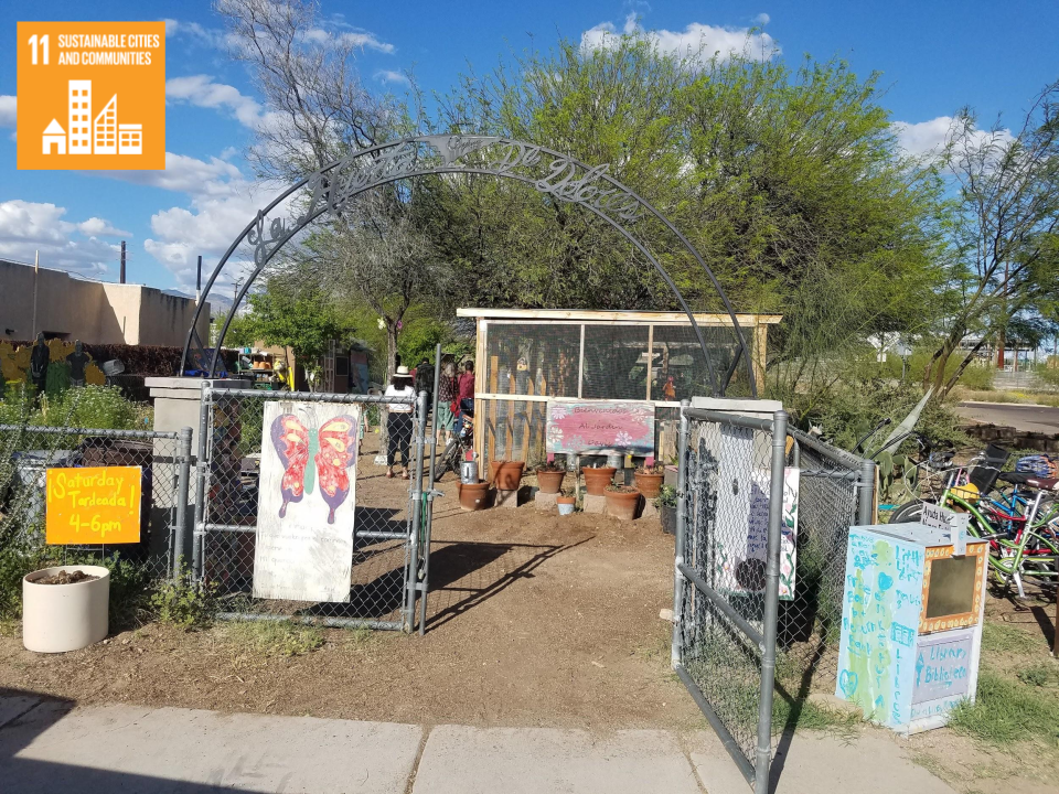 Welcoming image of people in a park in Tucson.